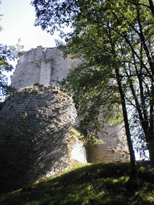 cliquez ici pour voir en grand